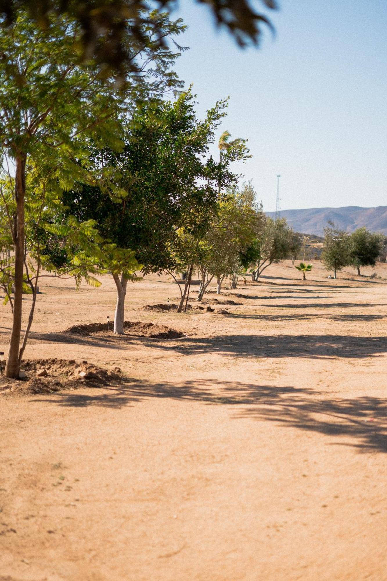 Villa Victoria, Valle De Guadalupe Ngoại thất bức ảnh