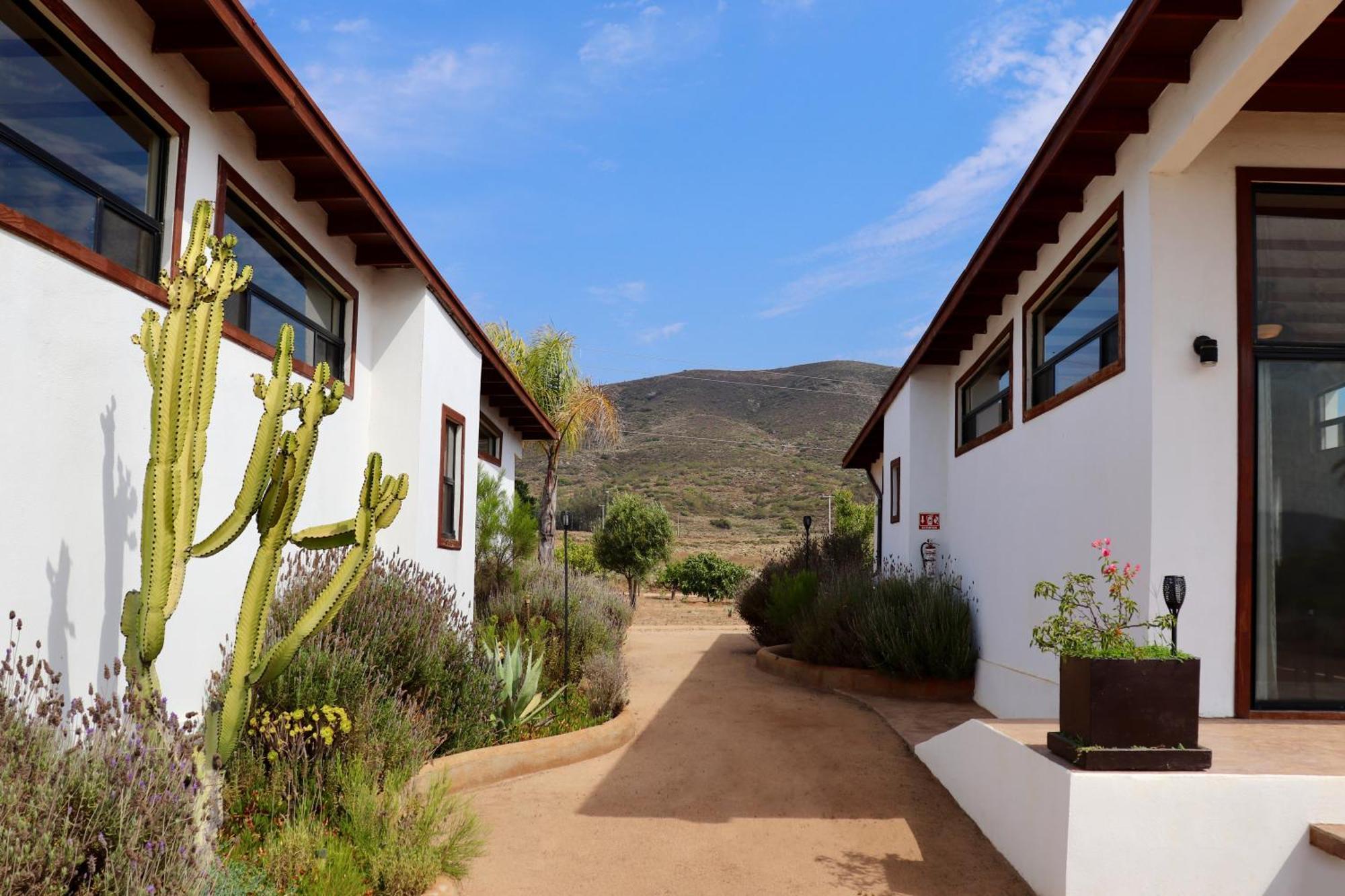 Villa Victoria, Valle De Guadalupe Ngoại thất bức ảnh