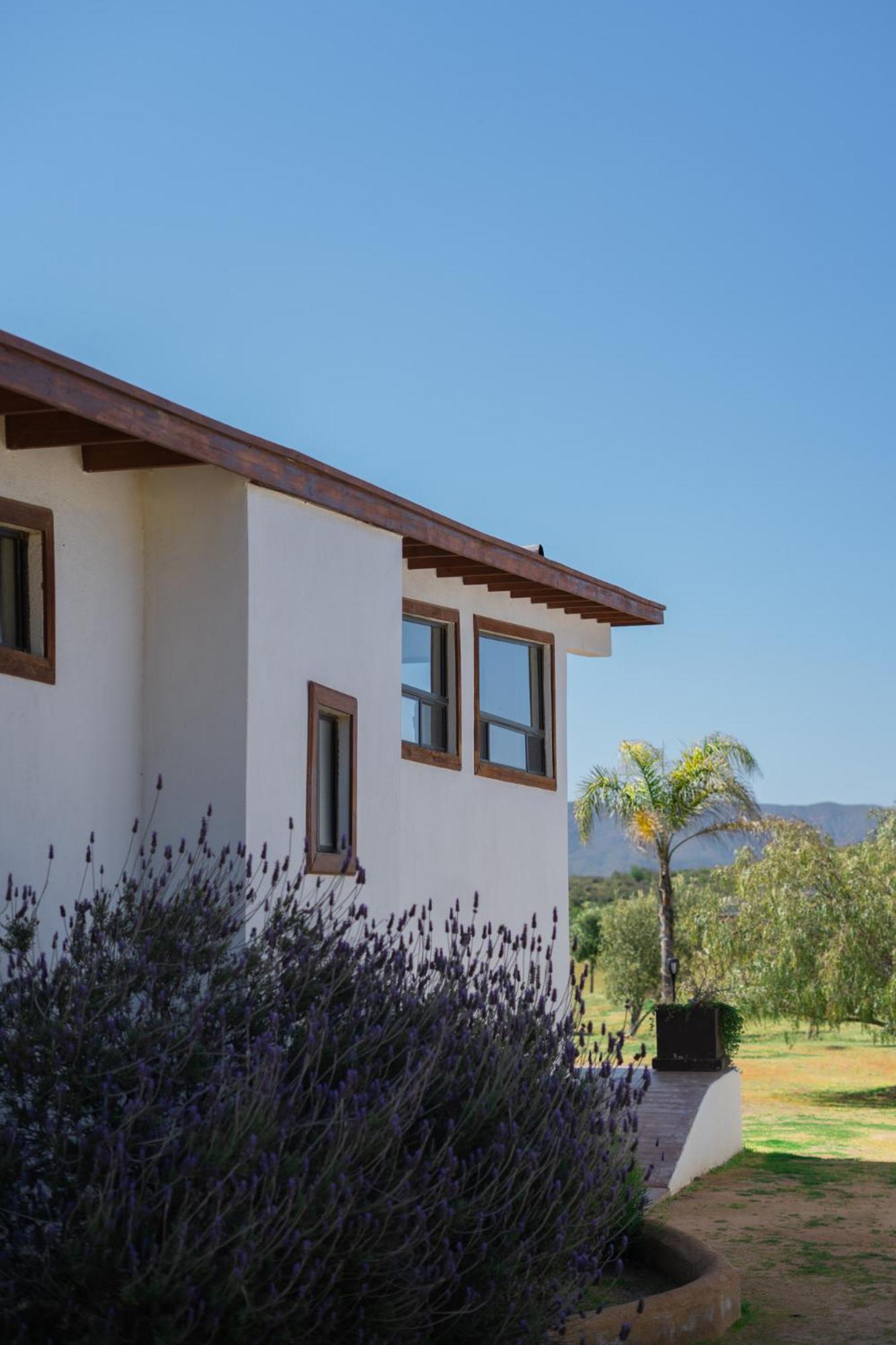 Villa Victoria, Valle De Guadalupe Ngoại thất bức ảnh