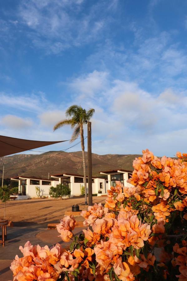 Villa Victoria, Valle De Guadalupe Ngoại thất bức ảnh
