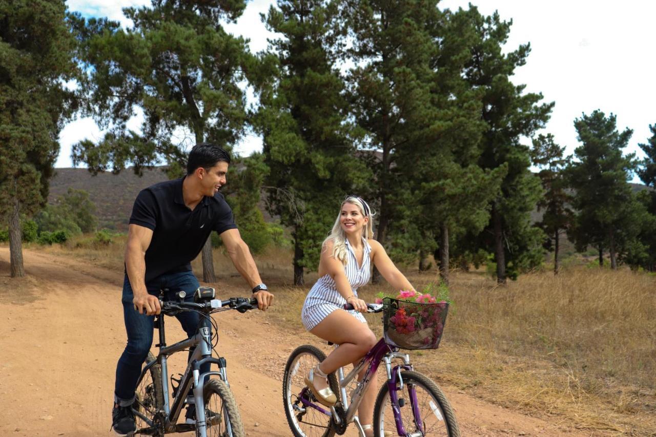 Villa Victoria, Valle De Guadalupe Ngoại thất bức ảnh