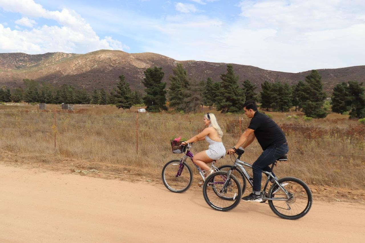 Villa Victoria, Valle De Guadalupe Ngoại thất bức ảnh